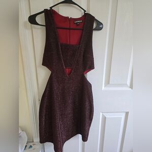 Express Burgundy Glitter Dress